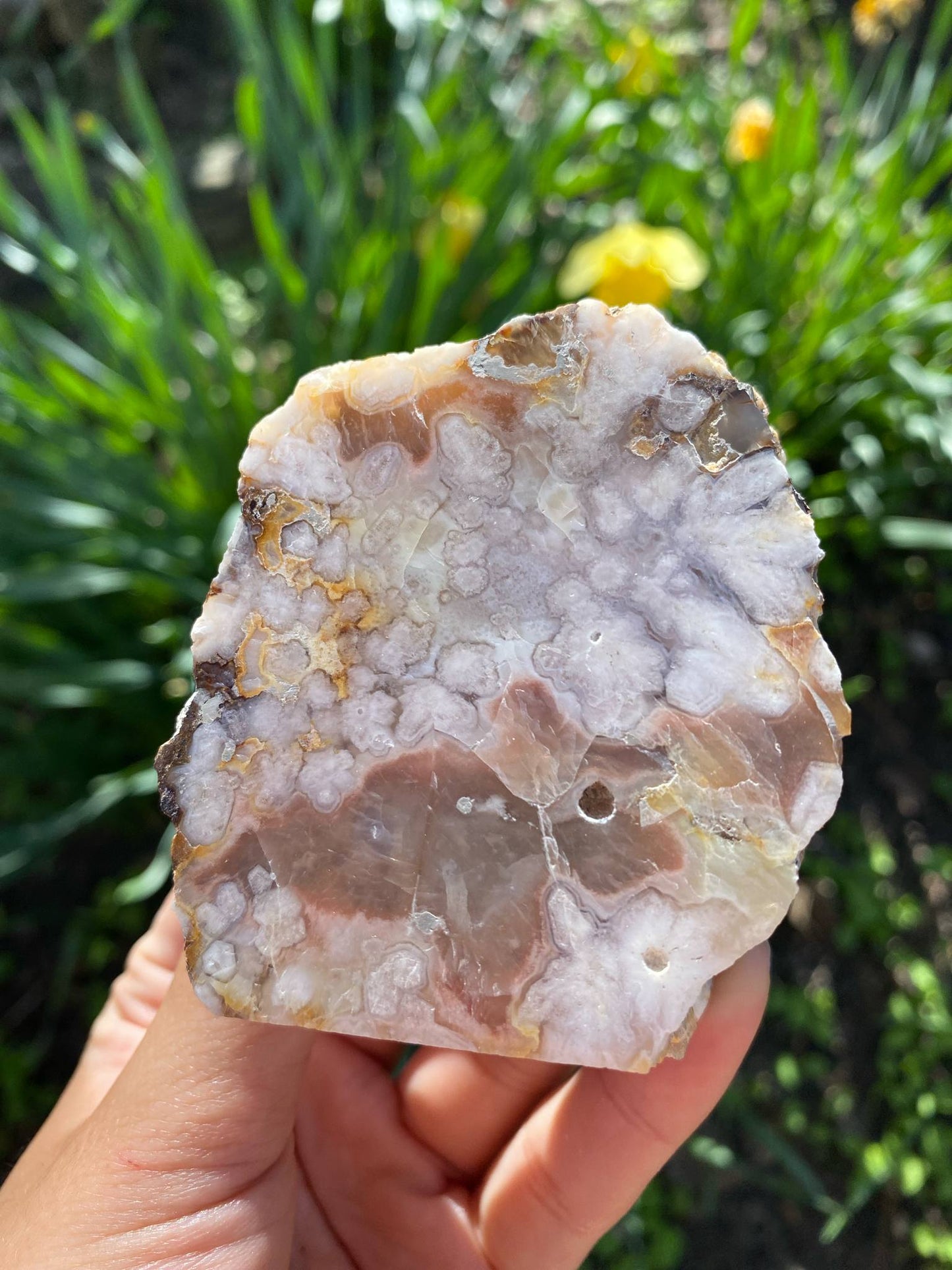 Gorgeous Flower Agate Slab (Copy)