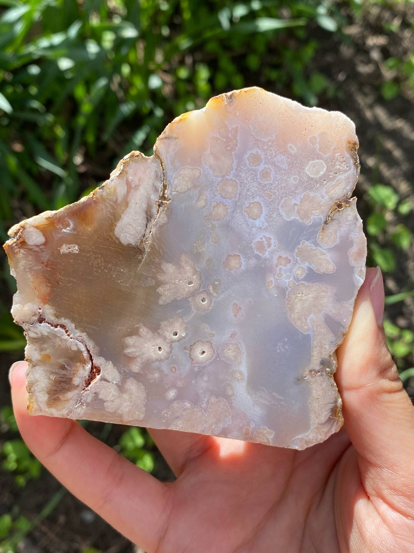 Gorgeous Flower Agate Slab (Copy)