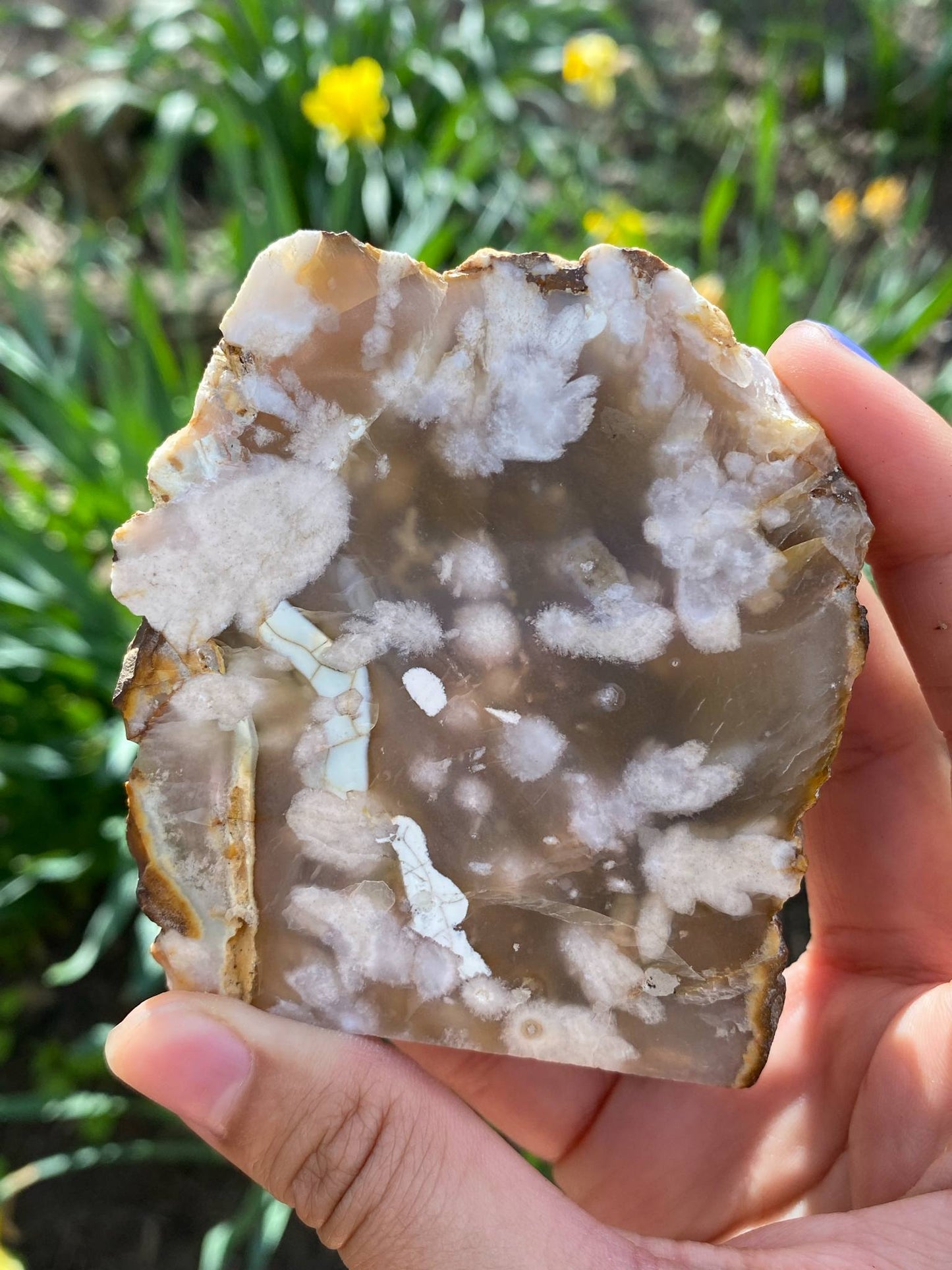 Gorgeous Flower Agate Slab (Copy)