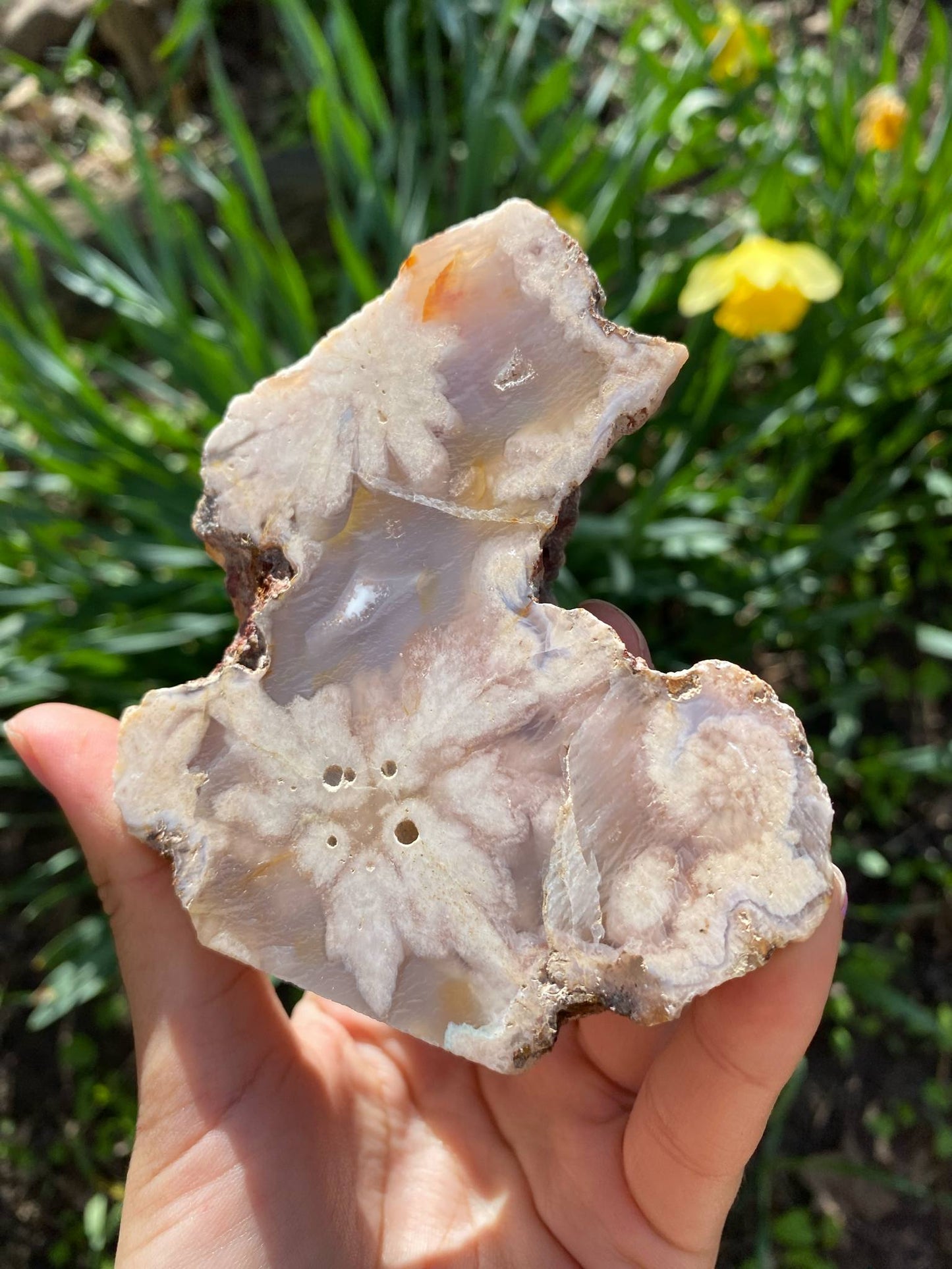 Gorgeous Flower Agate Slab