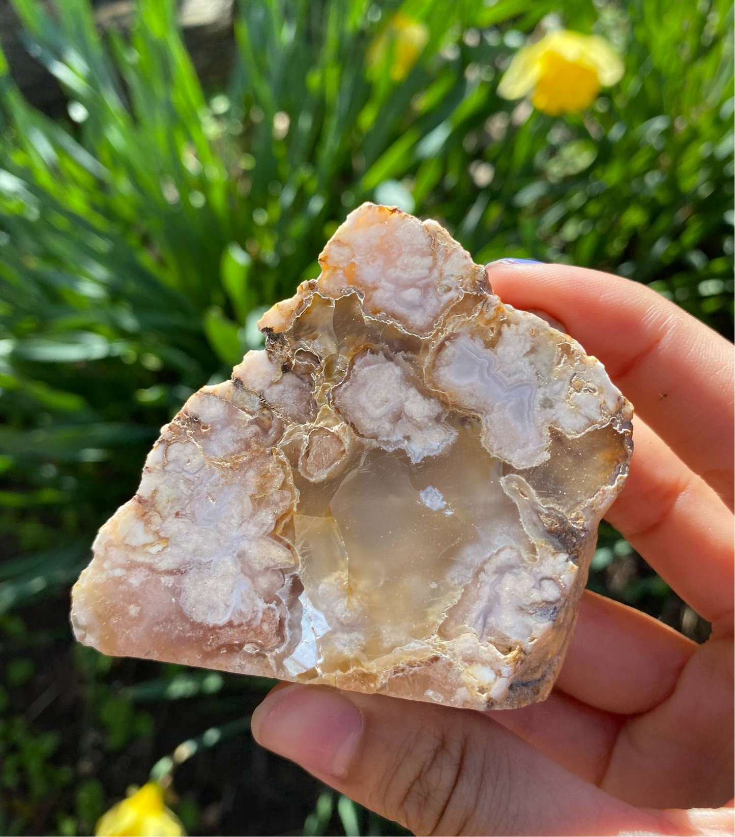 Gorgeous Flower Agate Slab