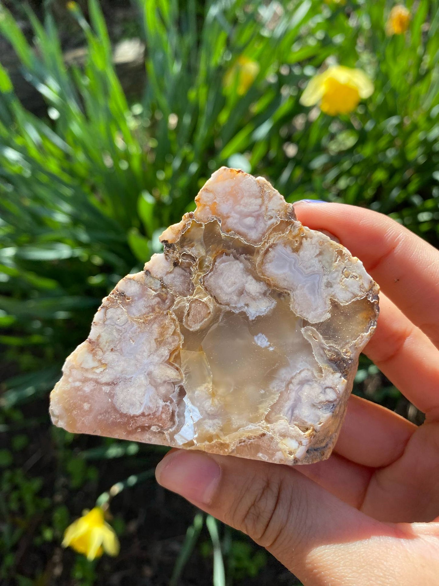 Gorgeous Flower Agate Slab