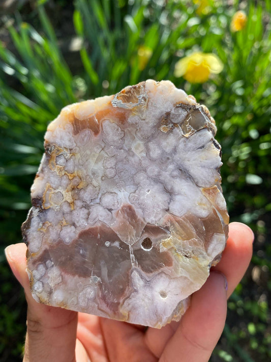 Gorgeous Flower Agate Slab (Copy)