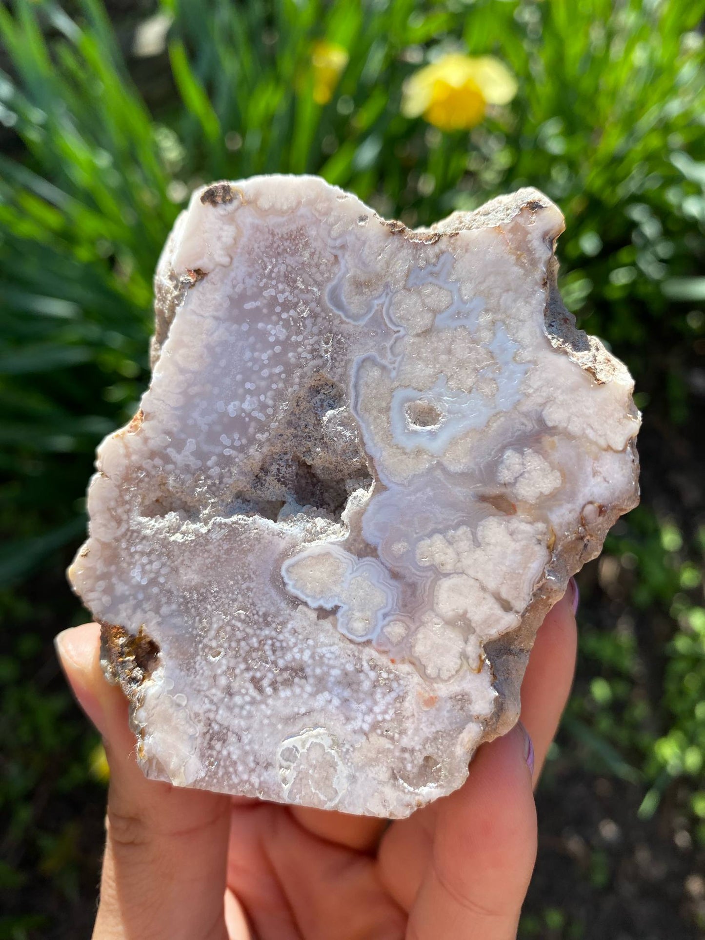 Gorgeous Flower Agate Slab