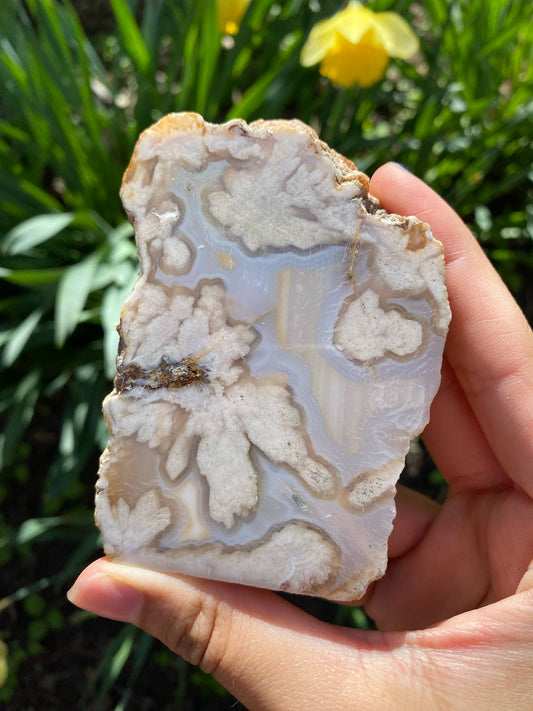 Gorgeous Flower Agate Slab