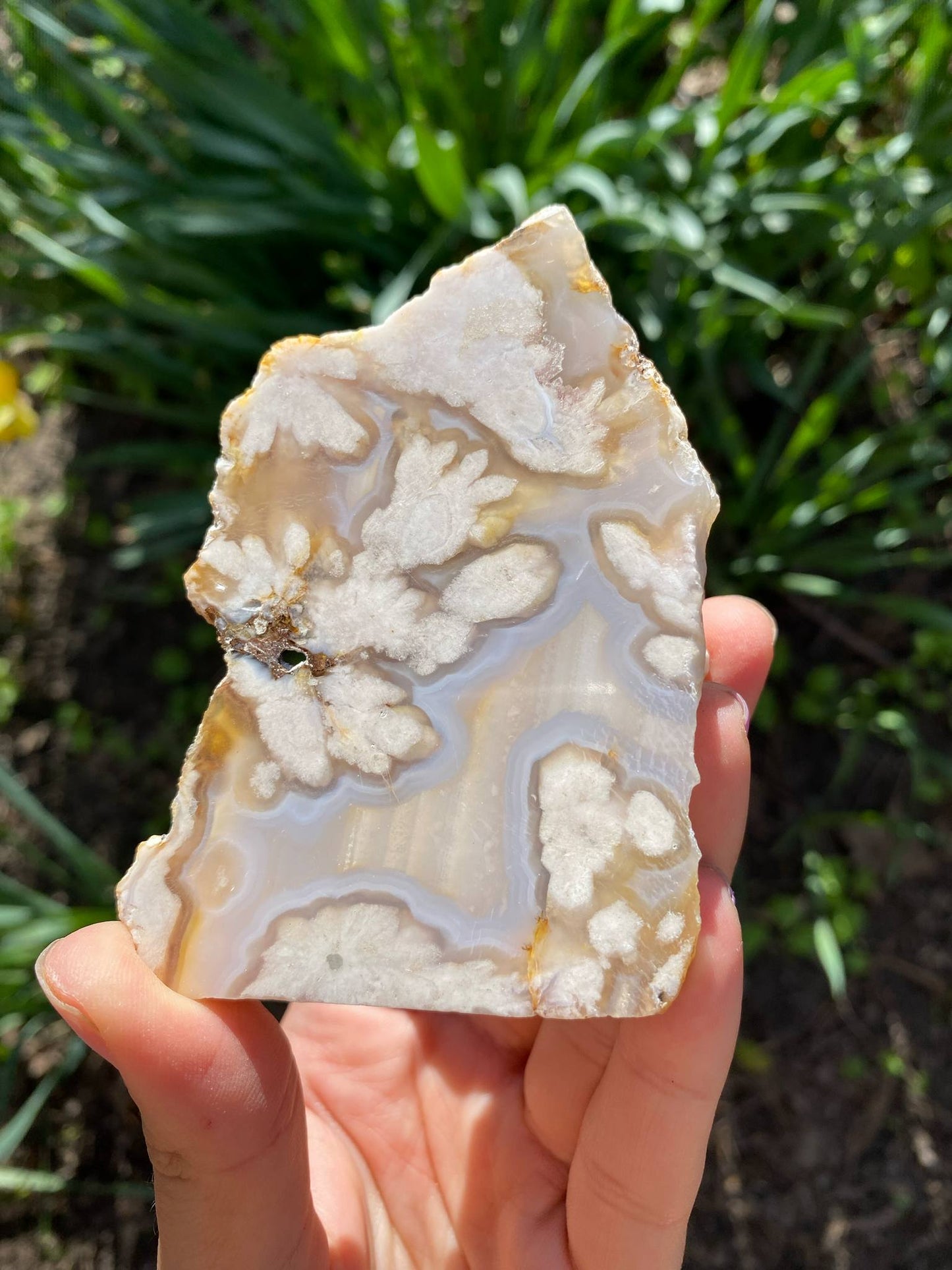 Gorgeous Flower Agate Slab