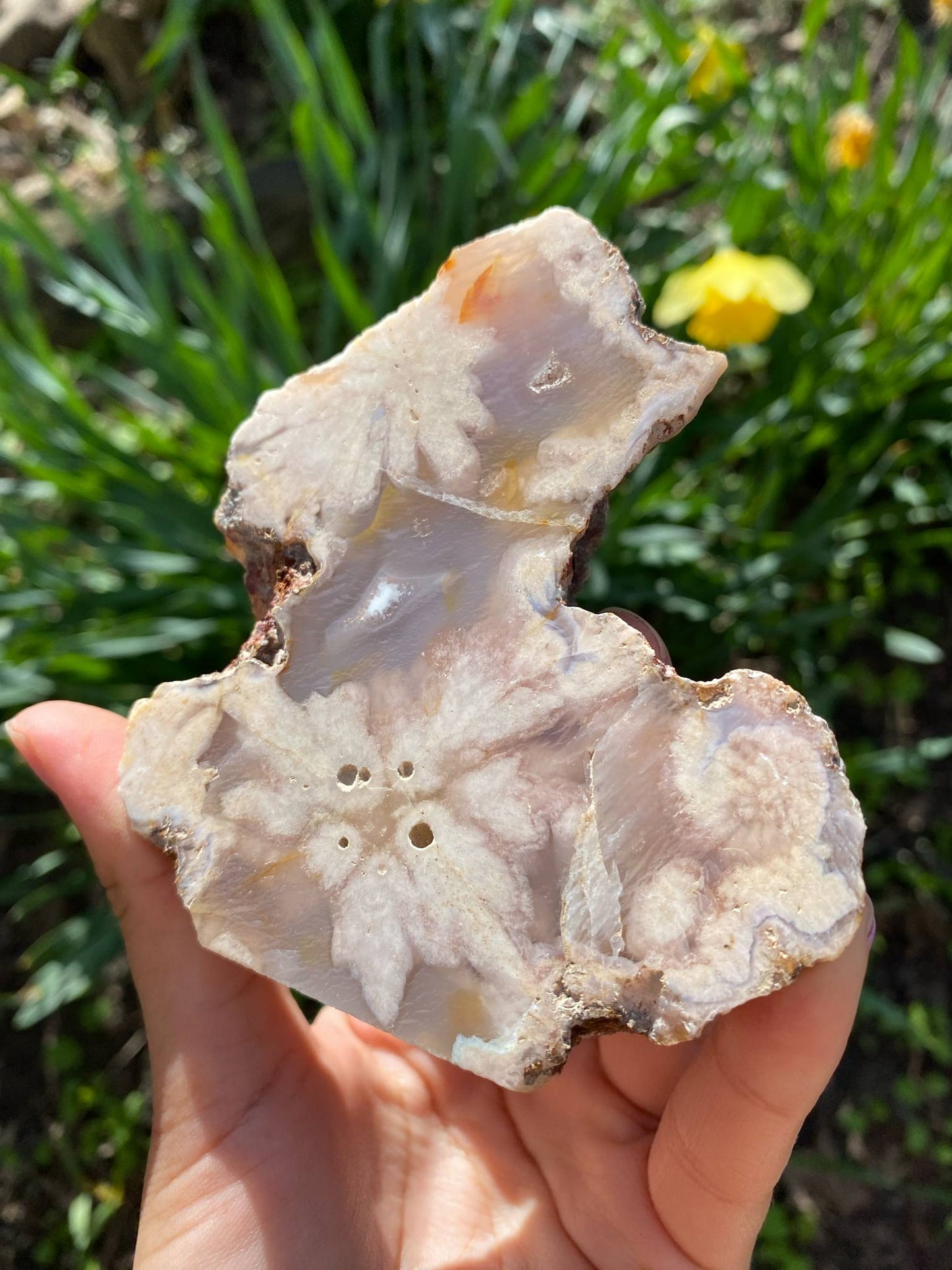 Gorgeous Flower Agate Slab