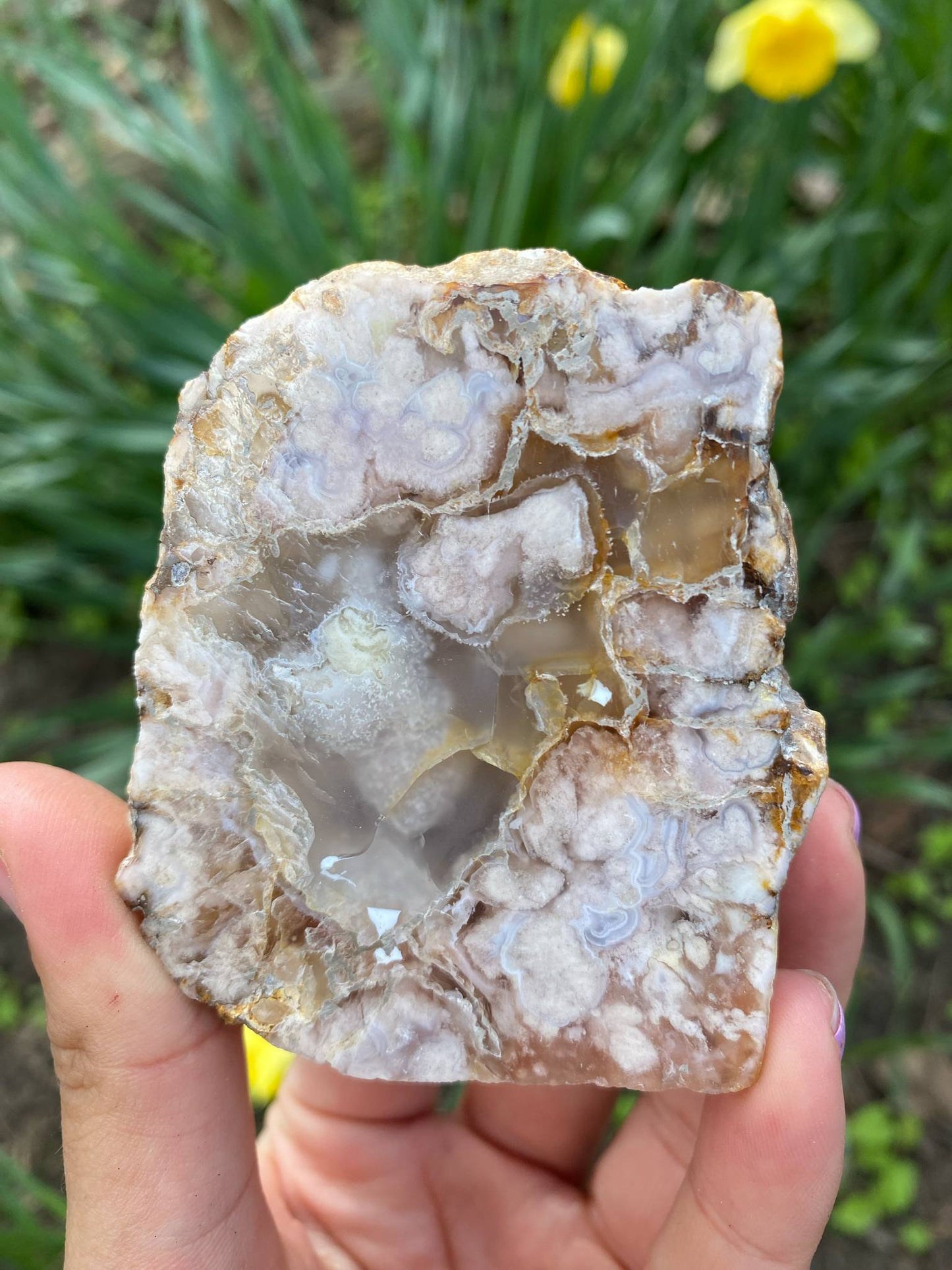Gorgeous Flower Agate Slab
