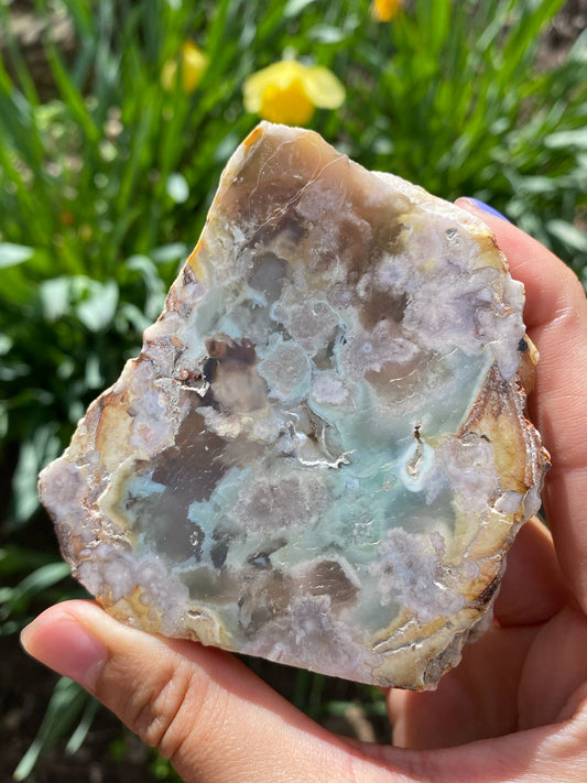 Gorgeous Flower Agate Slab