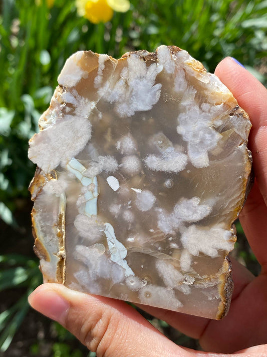 Gorgeous Flower Agate Slab (Copy)