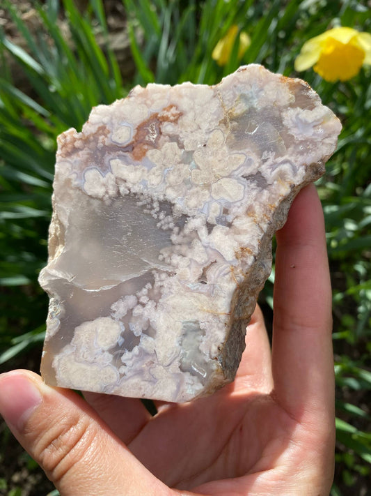 Gorgeous Flower Agate Slab