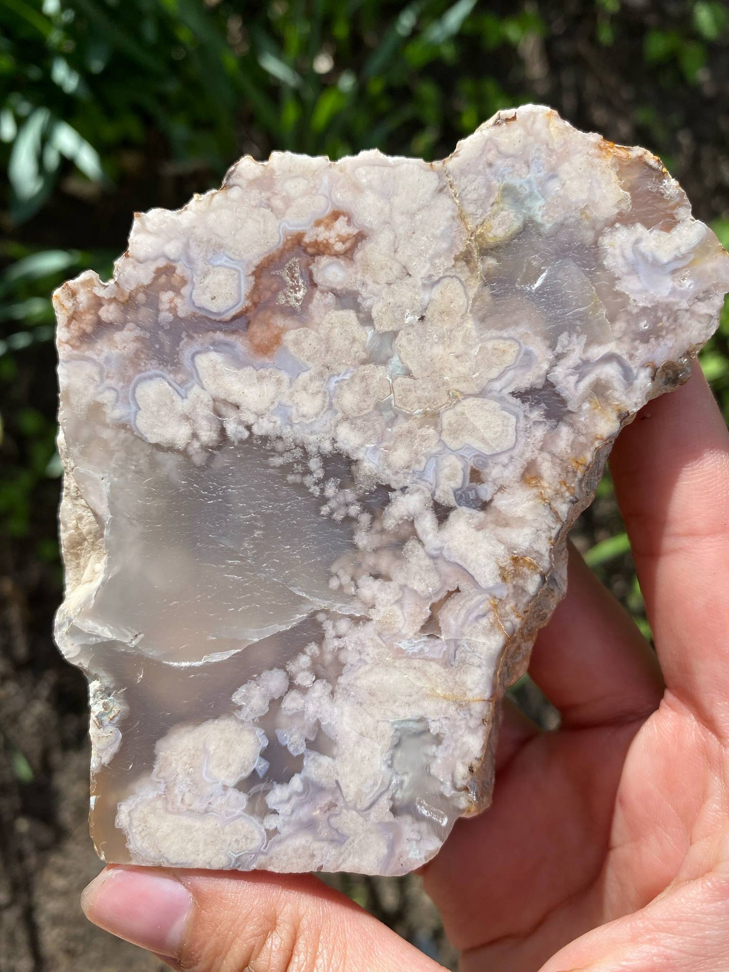 Gorgeous Flower Agate Slab