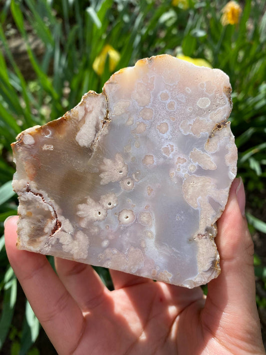 Gorgeous Flower Agate Slab (Copy)