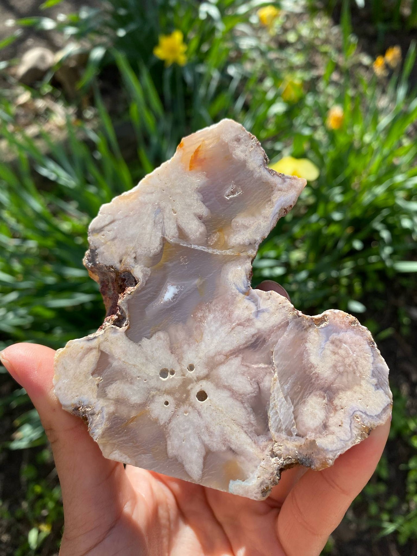 Gorgeous Flower Agate Slab