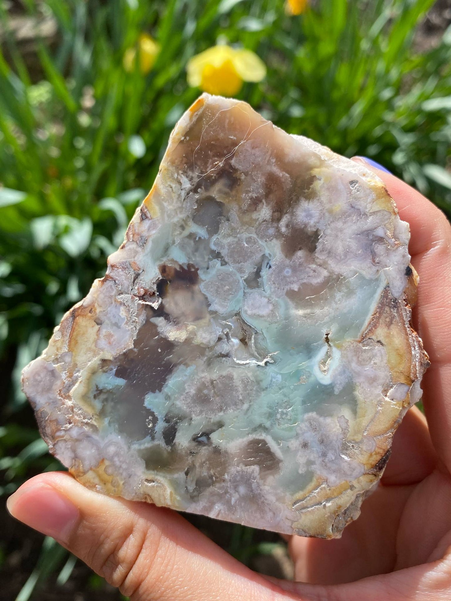 Gorgeous Flower Agate Slab
