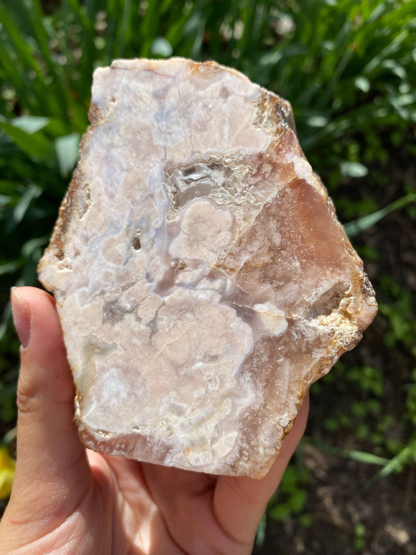 Gorgeous Flower Agate Slab