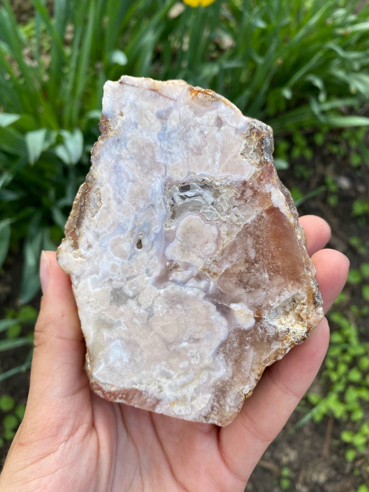 Gorgeous Flower Agate Slab