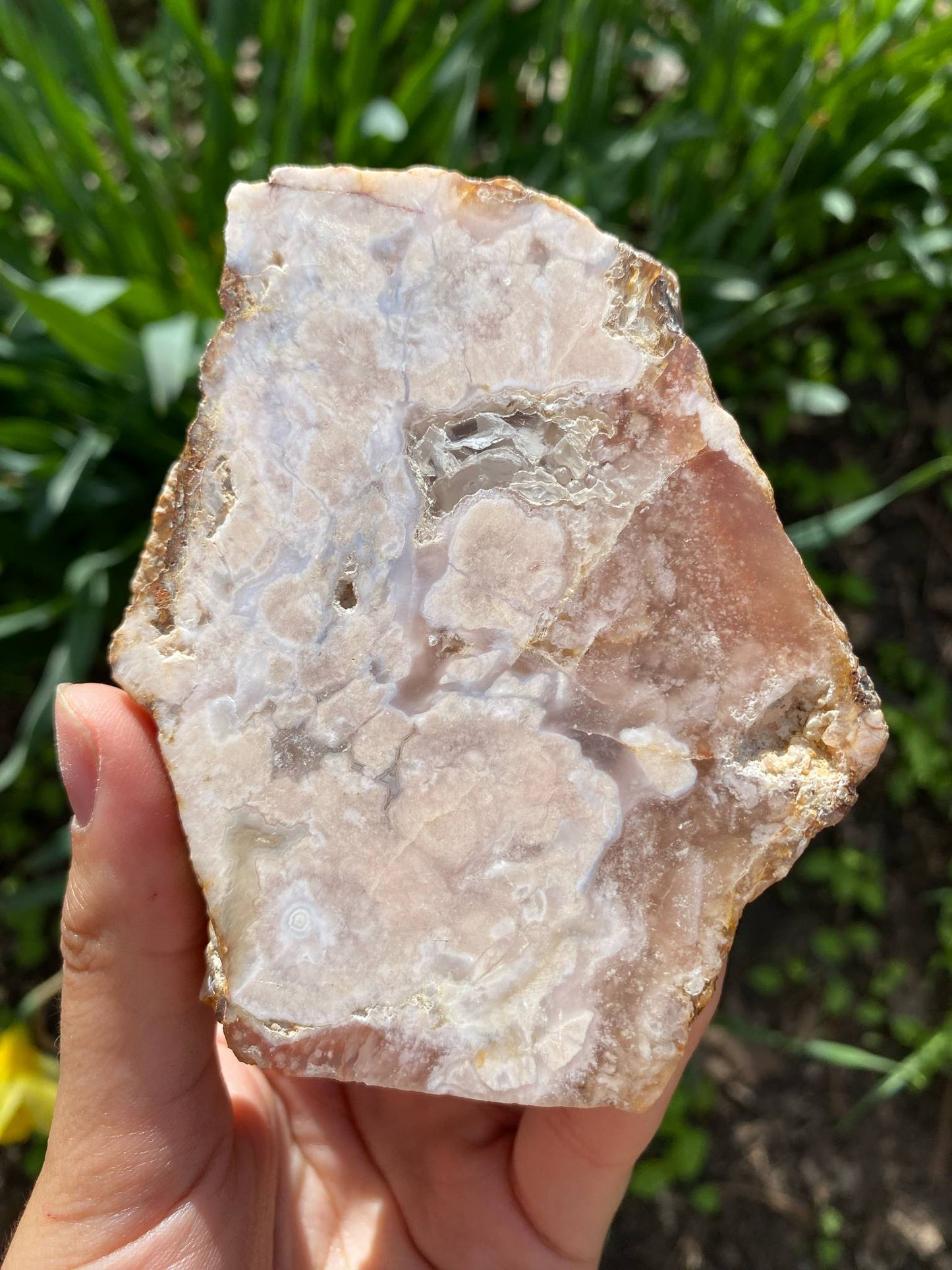 Gorgeous Flower Agate Slab